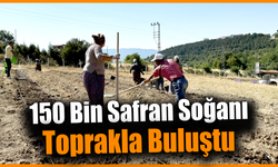 Kilosu 450 bin lira: Safranova’da safran sezonu başladı
