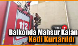 Safranbolu’da kedinin imdadına itfaiye yetişti