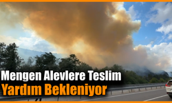 Bolu'da şiddetli rüzgar yangına müdahaleyi zorlaştırıyor