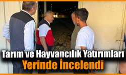 İl Müdürü Önder üretim sahalarında incelemelerde bulundu