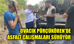 Ovacık’ta yol çalışmaları hız kesmiyor