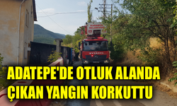 Otluk alanda çıkan yangın evlere sıçramadan söndürüldü