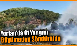 Rüzgarla büyüyen ot yangını büyümeden kontrol altına alındı