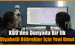Zeytin yaprağı diyabetik böbrek hasarına dur diyebilir!
