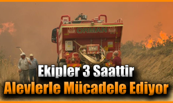 Karabük’teki orman yangını rüzgarın etkisiyle büyüyor