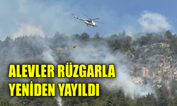 Orman yangınında alevler yeniden etkili olmaya başladı