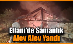 Karabük’te samanlık yangını paniğe neden oldu