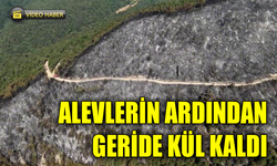 Yangında zarar gören alanlar havadan görüntülendi