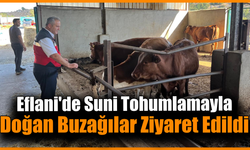 İl Tarım Müdürü Yasin Önder, Eflani’de üreticilerle buluştu