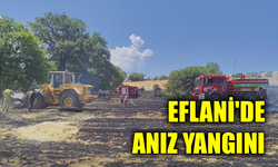 Karabük’te anız yangını kontrol altına alındı