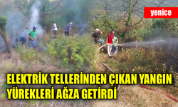 Yenice’de otluk alanda çıkan yangın büyümeden söndürüldü