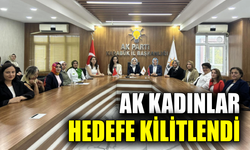 AK Parti Karabük İl Kadın Kolları'ndan istişare toplantısı