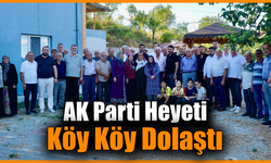 AK Parti heyeti köylerde vatandaşlarla buluştu