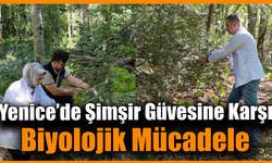 Yenice ormanları faydalı böceklerle korunuyor