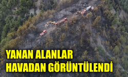 Orman yangınında zarar gören alanlar dronla görüntülendi