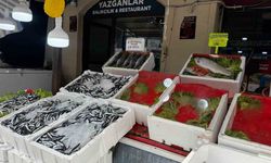 Alaplı’da balık tezgâhları boş kaldı