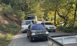 Alaplı Aşağıdağ Köyü’nde Devrilen Ağaç Yolu Kapattı