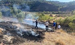 Alevlere ilk müdahale milletvekillerinden