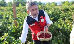 Bakan Yumaklı: "Gençlerin katkısıyla üretim hız kazanıyor"
