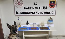 Bartın’da uyuşturucu operasyonu: 1 gözaltı