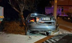 Bolu’da alkollü sürücü ağaca çarptı: 2 yaralı
