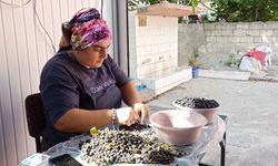 Devrek’te üretilen aronya meyve suyu büyük ilgi görüyor