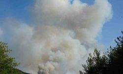 Kastamonu’da orman yangını: 6 köy tahliye edildi