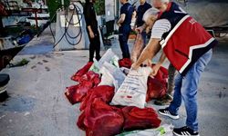 Kastamonu’da kaçak avlanan 142 kalkan balığına el konuldu