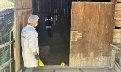 Kastamonu’da Samanlık Cinayeti Davası Sürüyor