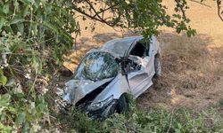 Şarampole yuvarlanan otomobil ağaçlara çarparak durabildi