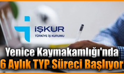 TYP sonuçları açıklandı: Yenice'de 30 kişi işbaşı yapacak