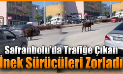 Karabük’te yolda ilerleyen inek tehlike oluşturdu
