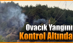 Karabük’te yangın 3 saatte kontrol altına alındı