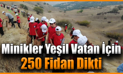 Karabük’te öğrenciler 250 fidanı toprakla buluşturdu
