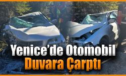 Kontrolden çıkan otomobil duvara çarptı: 2 yaralı