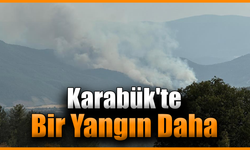 Karabük’te yeni orman yangını çıktı