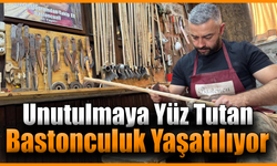 Zamana direnen el sanatı: Bastonculuk