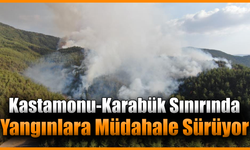 Kastamonu-Karabük sınırında ikinci orman yangını