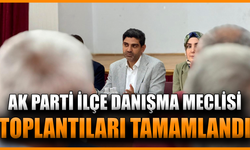 AK Parti Karabük’te İlçe Toplantılarını tamamladı