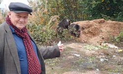 Annelerini kaybeden yavru ayılar, ilçenin maskotu oldu