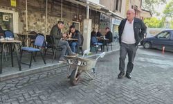 Bartın’ın maskotu öldü