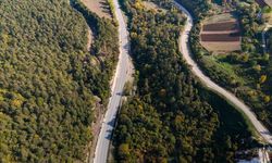 Bolu-Mudurnu kara yolunda sonbahar yolculuğu