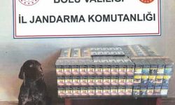 Bolu’da yolcu otobüsünde kaçak sigara ele geçirildi
