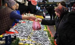 Son 10 Yılın En Lezzetli Hamsisi Bolu’da Tezgahları Sardı