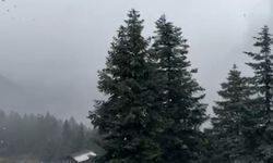 Ilgaz Dağı’nda kar yağışı etkili oluyor