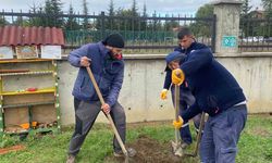 “81 İl 81 Fidan” Yürüyüşü Bolu’da Devam Ediyor