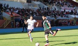 TFF 3. Lig: Zonguldakspor: 1 - Amasyaspor: 2