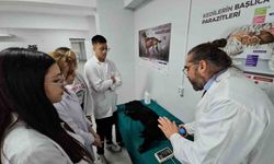 Veteriner Sağlık Öğrencilerine Simülasyonlu Eğitim İmkanı