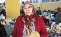 Ormanlar Mantarla Dolu, Pazarda Kanlıca Rekoru
