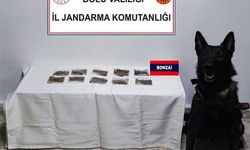 Yol kontrolünde yasaklı maddeyle yakalandı